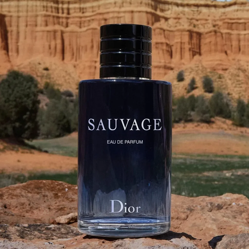 Dior(ディオール) Sauvage(ソヴァージュ)の匂いは？画像4