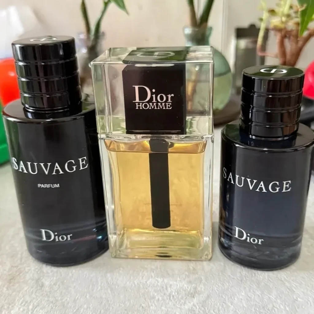 Dior(ディオール) Sauvage(ソヴァージュ)の匂いは？画像8