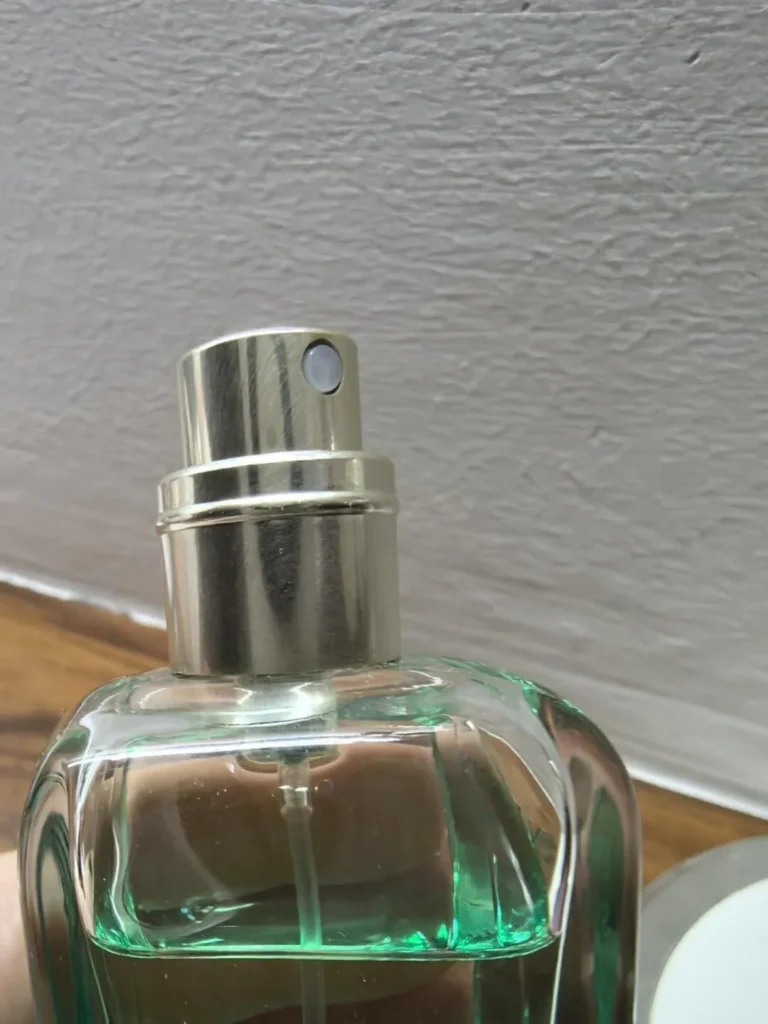 HERMES(エルメス) UN JARDIN SUR LE NIL(ナイルの庭)の似てる香りは？画像1