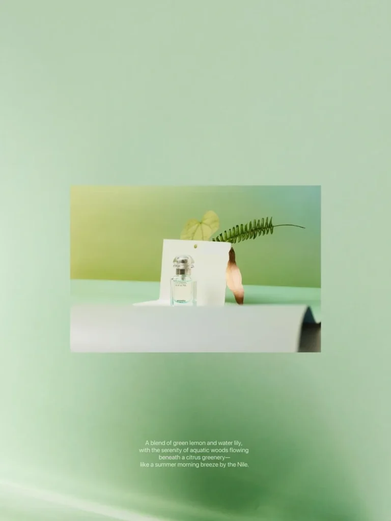 HERMES(エルメス) UN JARDIN SUR LE NIL(ナイルの庭)の何歳まで？画像1