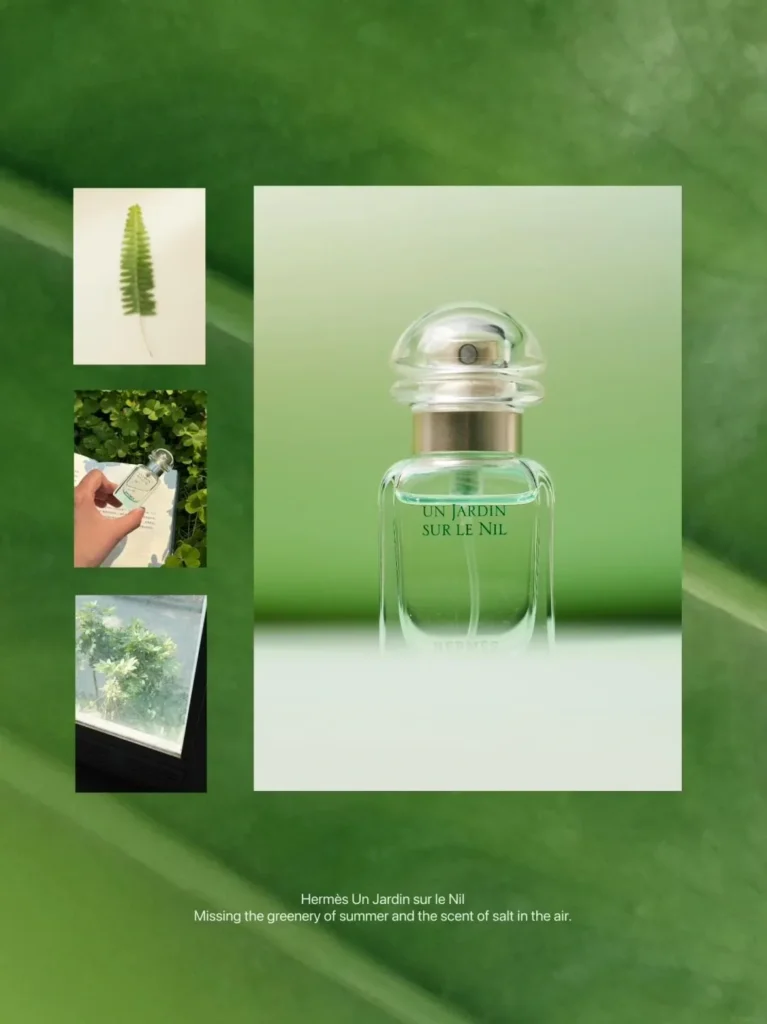 HERMES(エルメス) UN JARDIN SUR LE NIL(ナイルの庭)の何歳まで？画像4