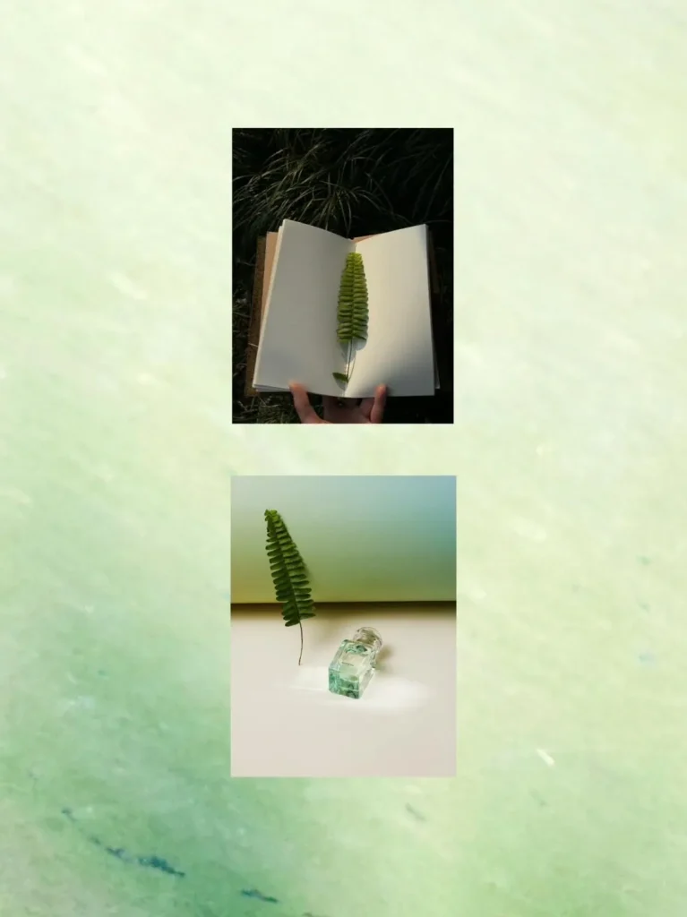 HERMES(エルメス) UN JARDIN SUR LE NIL(ナイルの庭)の芸能人は？画像1