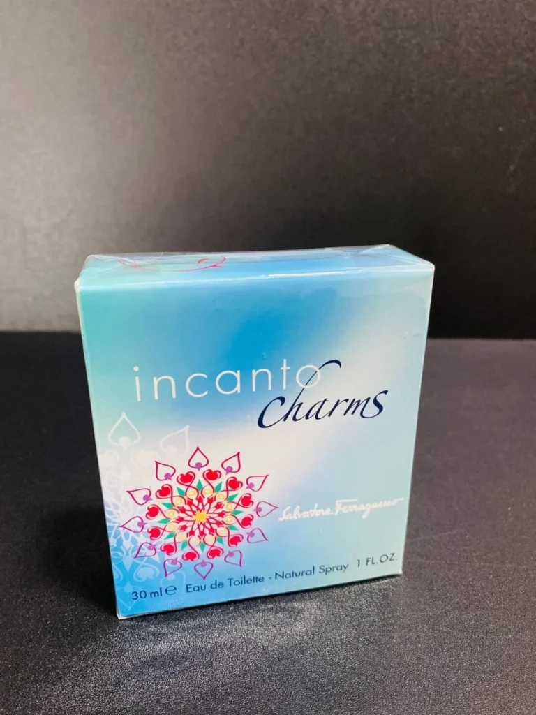 FERRAGAMO(フェラガモ) INCANTO CHARMS(インカントチャーム)の芸能人は？画像2